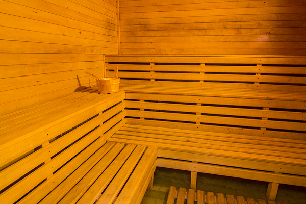 Ubytování Krkonoše - Penzion Rokytnici v Krkonoších - sauna